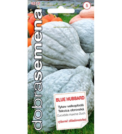 BLUE HUBBARD - 7 ks