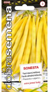 SONESTA - 10 G